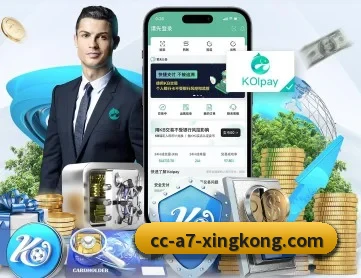 星空体育 APP 深度功能