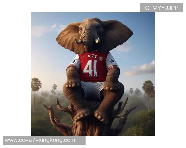 佩蒂特批评切尔西曼联缺乏远见赞阿森纳全力支持塔帅发展