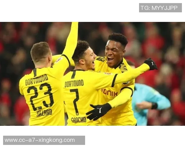 杜塞尔多夫正式签约多特蒙德年轻中锋保利纳转会费为40万欧元 杜塞尔多夫正式签约多特蒙德年轻中锋保利纳转会费为40万欧元